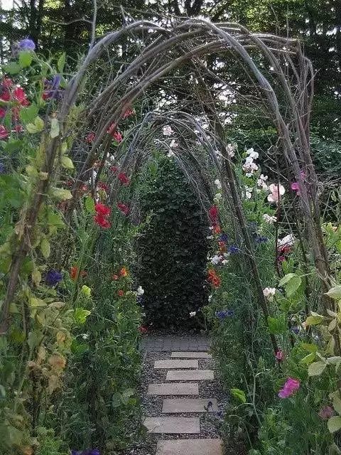 最美的花拱门，选下面16种植物就足够了